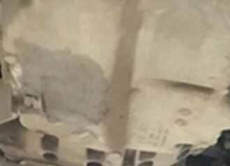 大众polo防冻液怎么换，polo更换防冻液方法