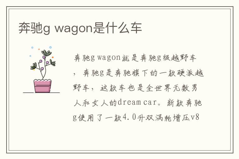 奔驰g wagon是什么车