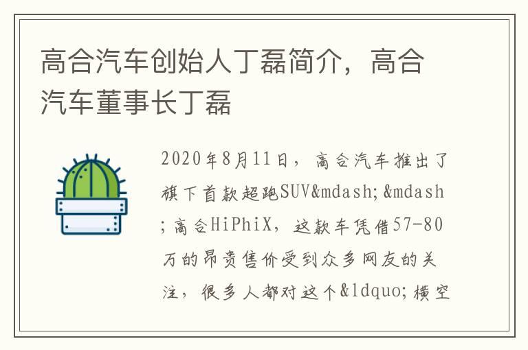 高合汽车创始人丁磊简介，高合汽车董事长丁磊