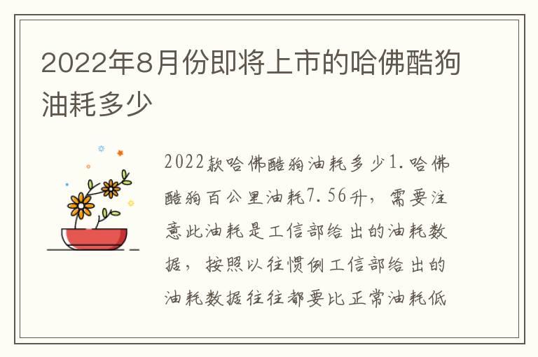 2022年8月份即将上市的哈佛酷狗油耗多少