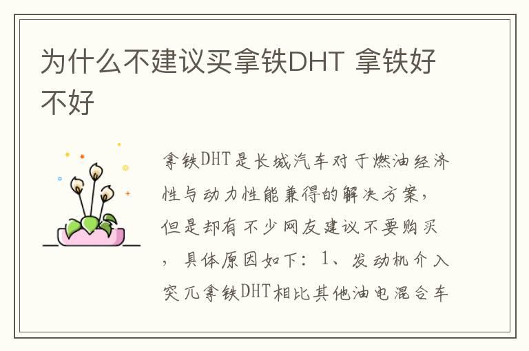 为什么不建议买拿铁DHT 拿铁好不好