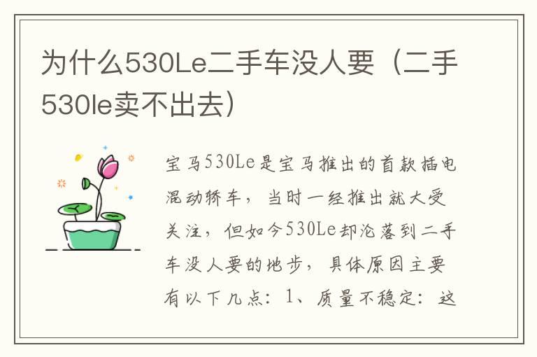 为什么530Le二手车没人要（二手530le卖不出去）