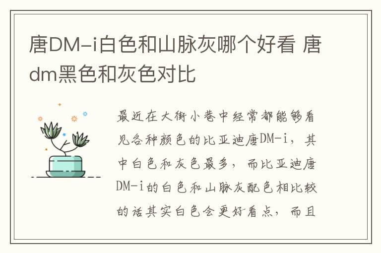 唐DM-i白色和山脉灰哪个好看 唐dm黑色和灰色对比