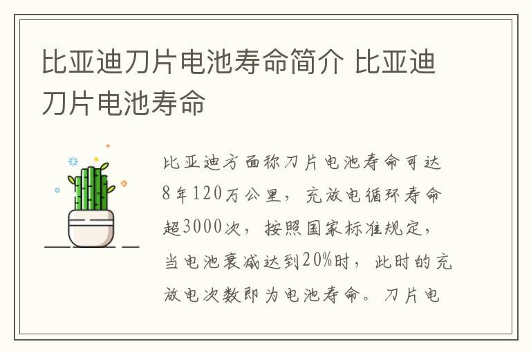 比亚迪刀片电池寿命简介 比亚迪刀片电池寿命