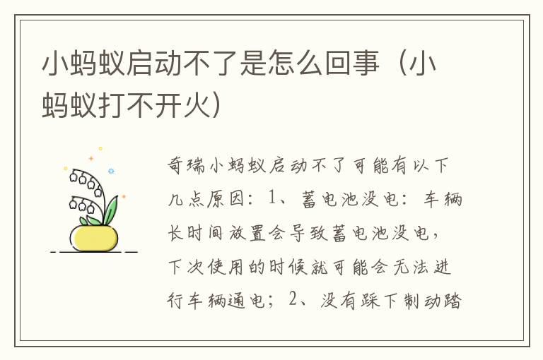 小蚂蚁启动不了是怎么回事（小蚂蚁打不开火）