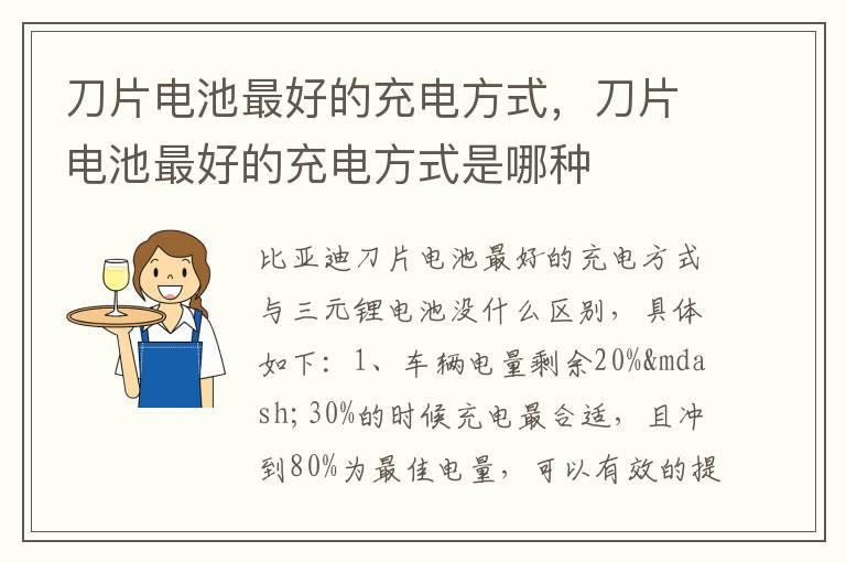 刀片电池最好的充电方式，刀片电池最好的充电方式是哪种