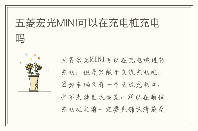 五菱宏光MINI可以在充电桩充电吗