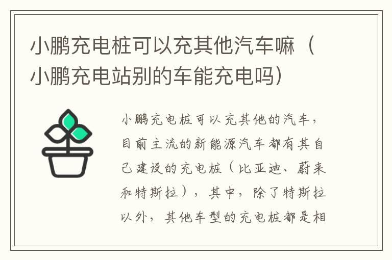 小鹏充电桩可以充其他汽车嘛（小鹏充电站别的车能充电吗）