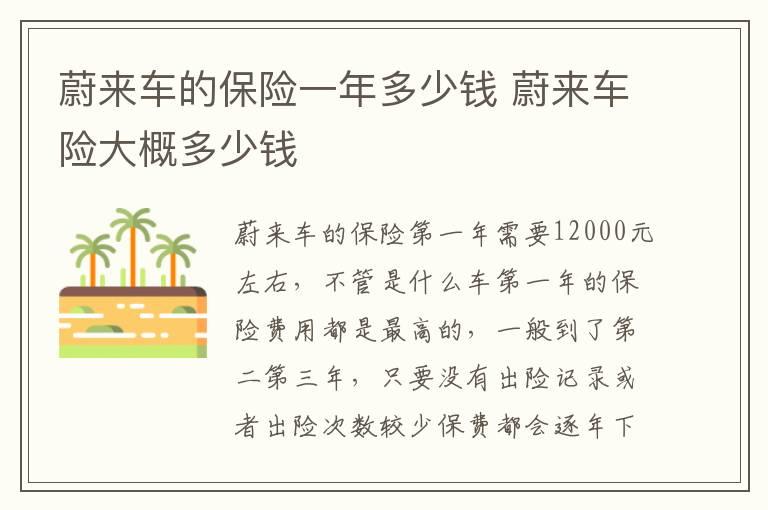 蔚来车的保险一年多少钱 蔚来车险大概多少钱