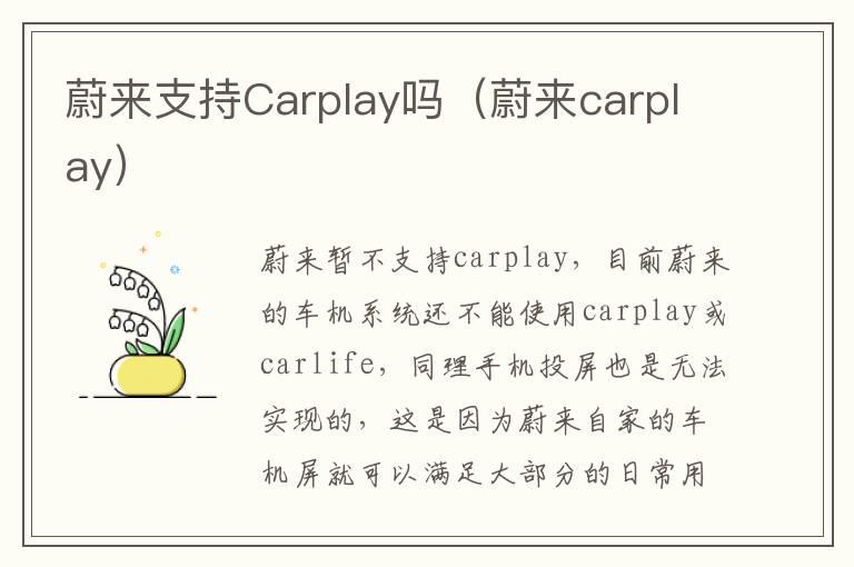 蔚来支持Carplay吗（蔚来carplay）