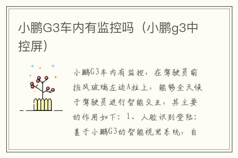 小鹏G3车内有监控吗（小鹏g3中控屏）