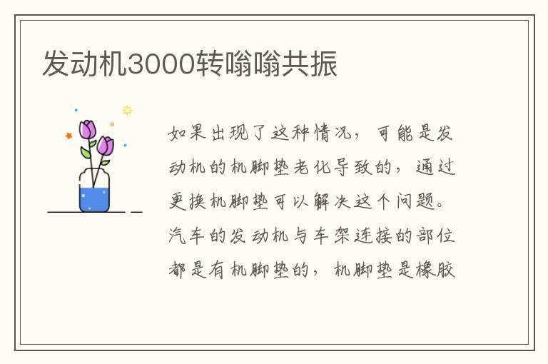 发动机3000转嗡嗡共振