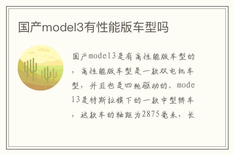 国产model3有性能版车型吗