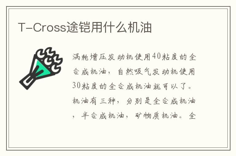 T-Cross途铠用什么机油