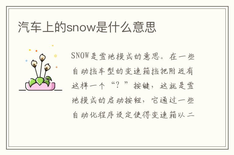 汽车上的snow是什么意思