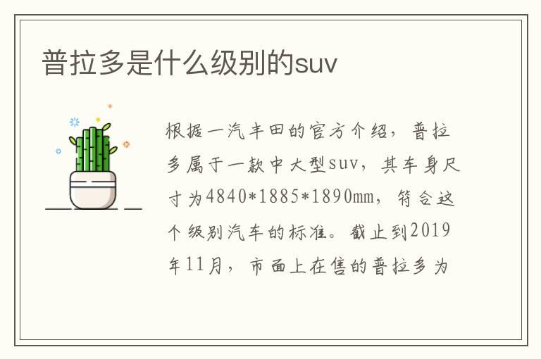 普拉多是什么级别的suv