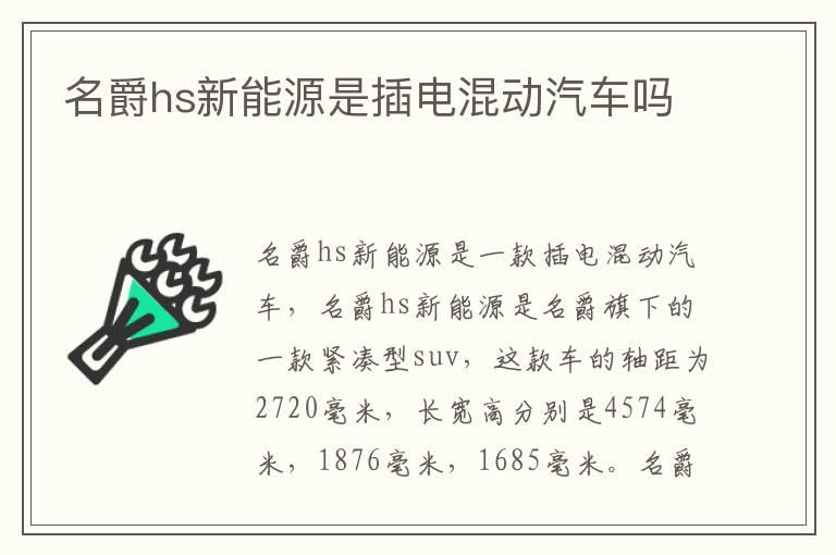 名爵hs新能源是插电混动汽车吗