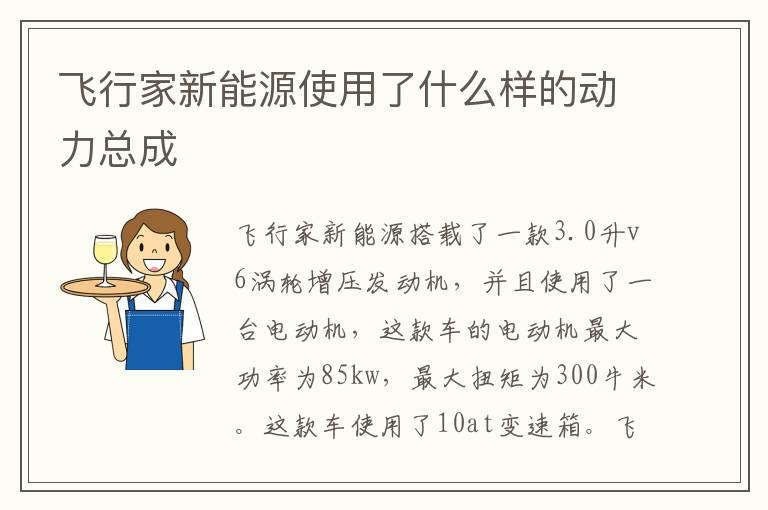 飞行家新能源使用了什么样的动力总成