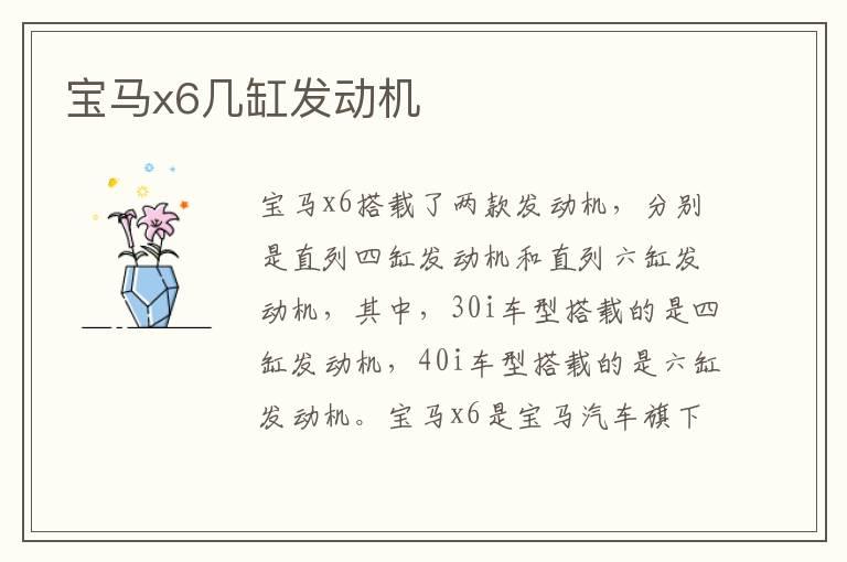 宝马x6几缸发动机