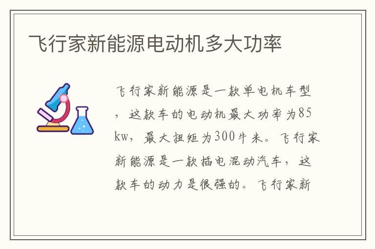 飞行家新能源电动机多大功率