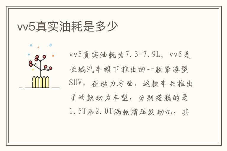 vv5真实油耗是多少