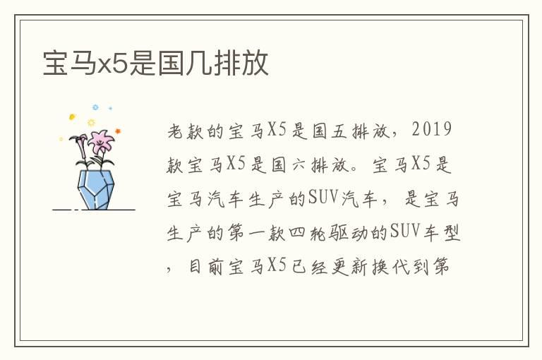 宝马x5是国几排放