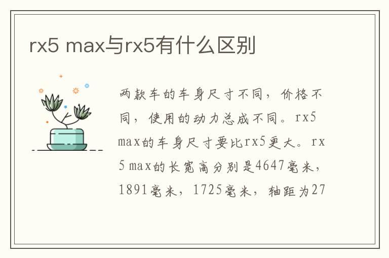 rx5 max与rx5有什么区别