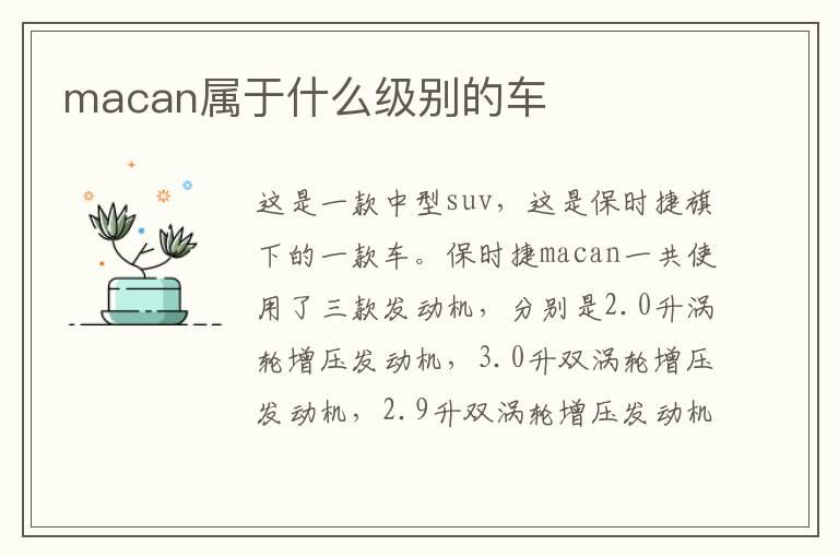 macan属于什么级别的车