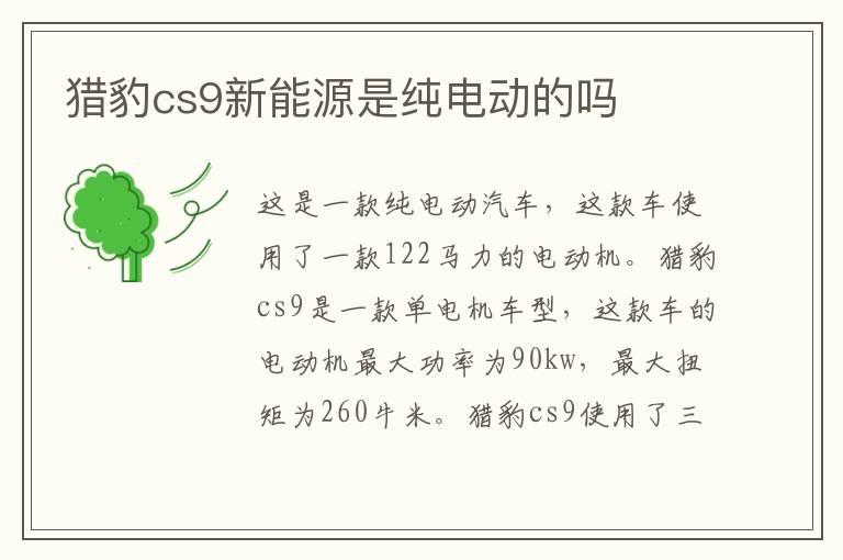 猎豹cs9新能源是纯电动的吗