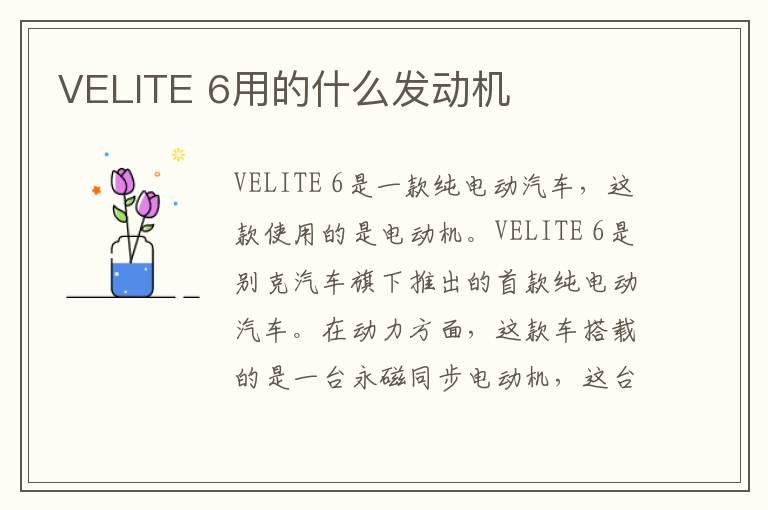 VELITE 6用的什么发动机