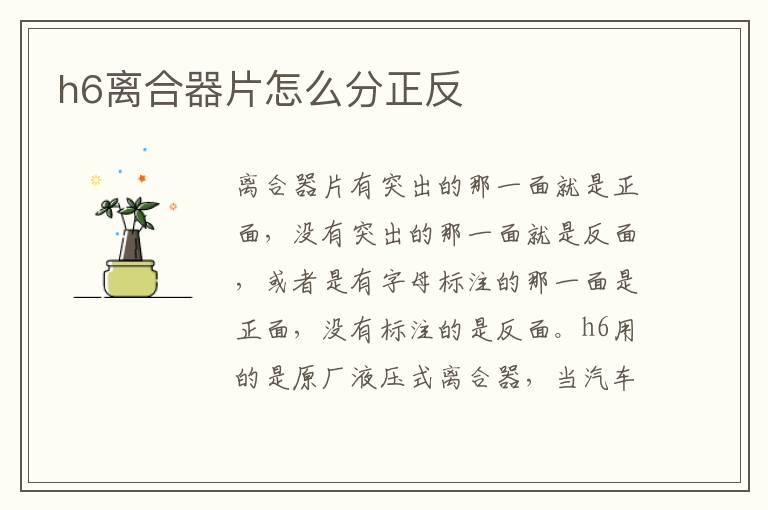 h6离合器片怎么分正反