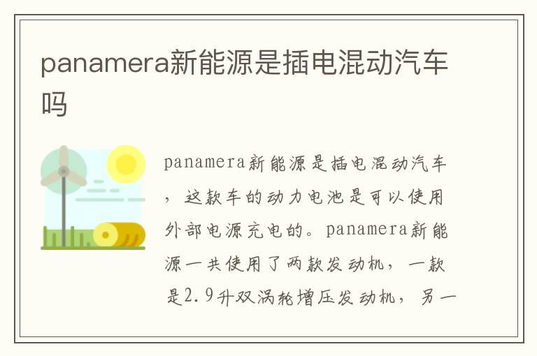 panamera新能源是插电混动汽车吗