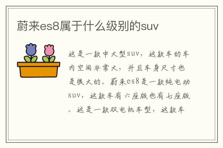 蔚来es8属于什么级别的suv