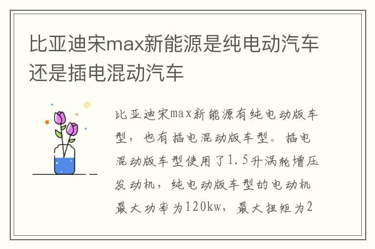 比亚迪宋max新能源是纯电动汽车还是插电混动汽车