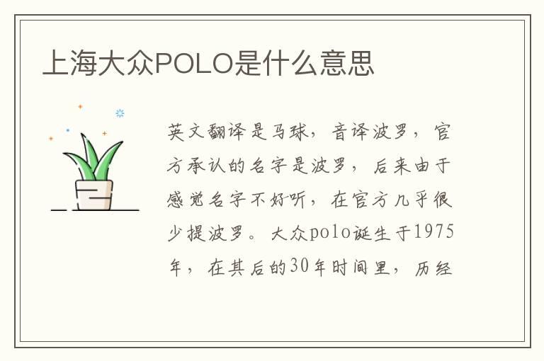 上海大众POLO是什么意思