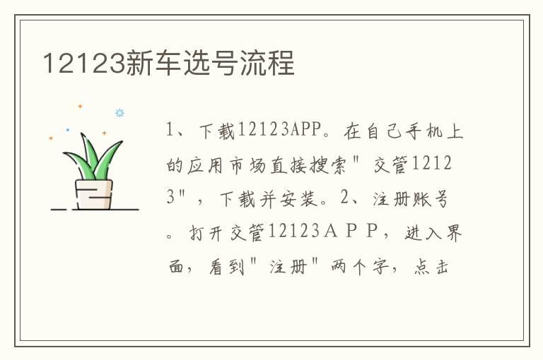 12123新车选号流程