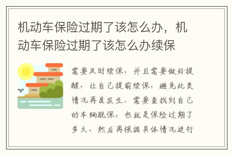 机动车保险过期了该怎么办，机动车保险过期了该怎么办续保