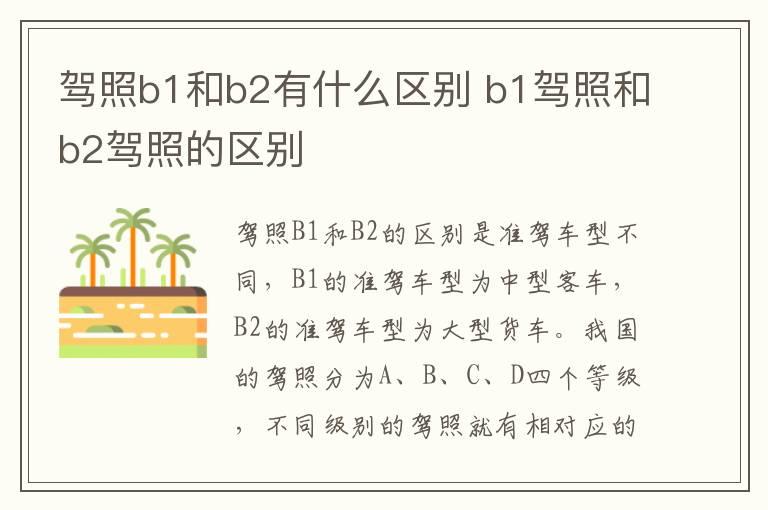 驾照b1和b2有什么区别 b1驾照和b2驾照的区别