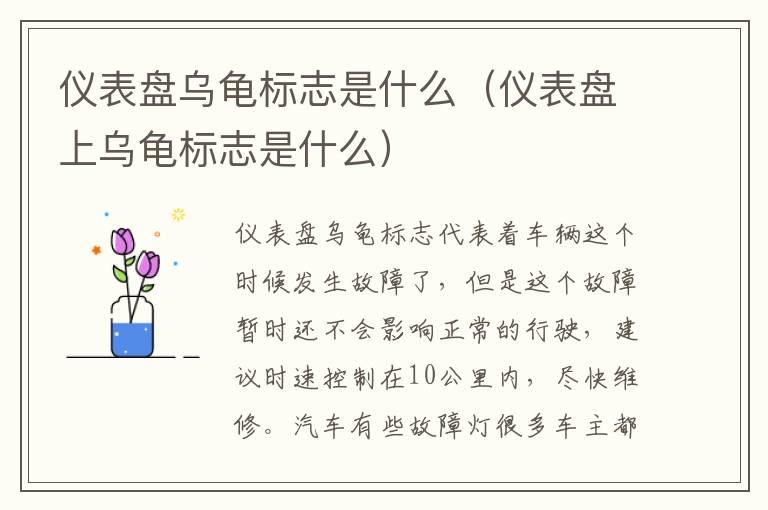 仪表盘乌龟标志是什么（仪表盘上乌龟标志是什么）