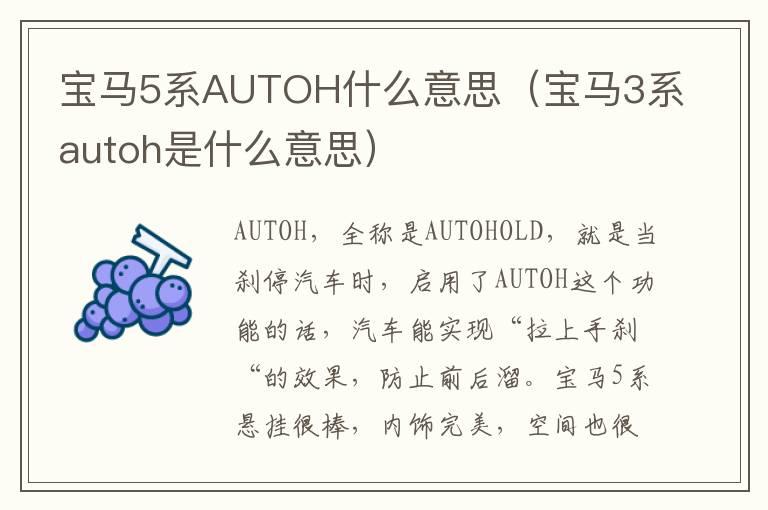 宝马5系AUTOH什么意思（宝马3系autoh是什么意思）