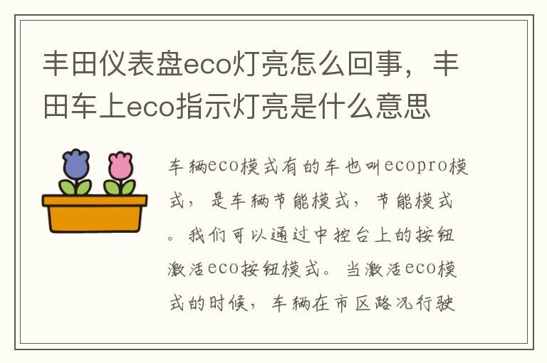 丰田仪表盘eco灯亮怎么回事，丰田车上eco指示灯亮是什么意思