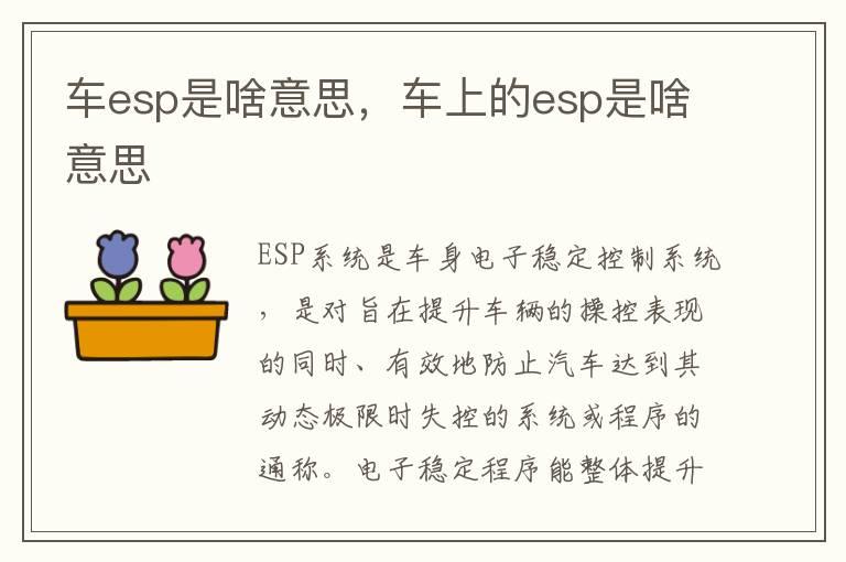 车esp是啥意思，车上的esp是啥意思