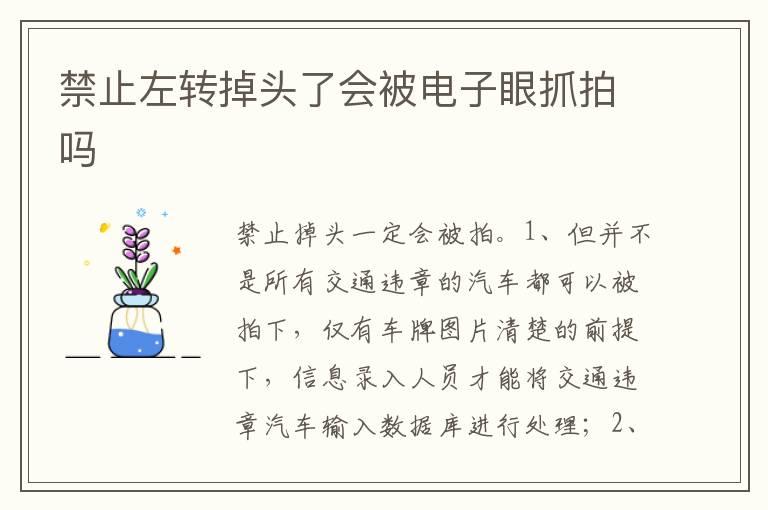 禁止左转掉头了会被电子眼抓拍吗