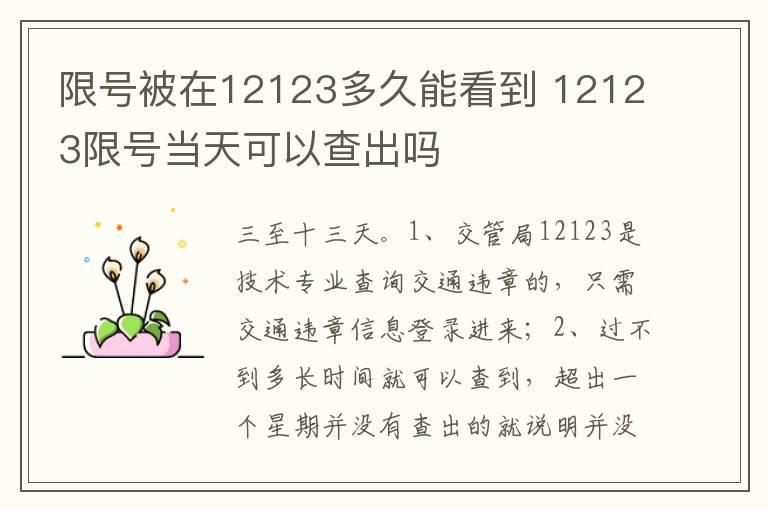 限号被在12123多久能看到 12123限号当天可以查出吗