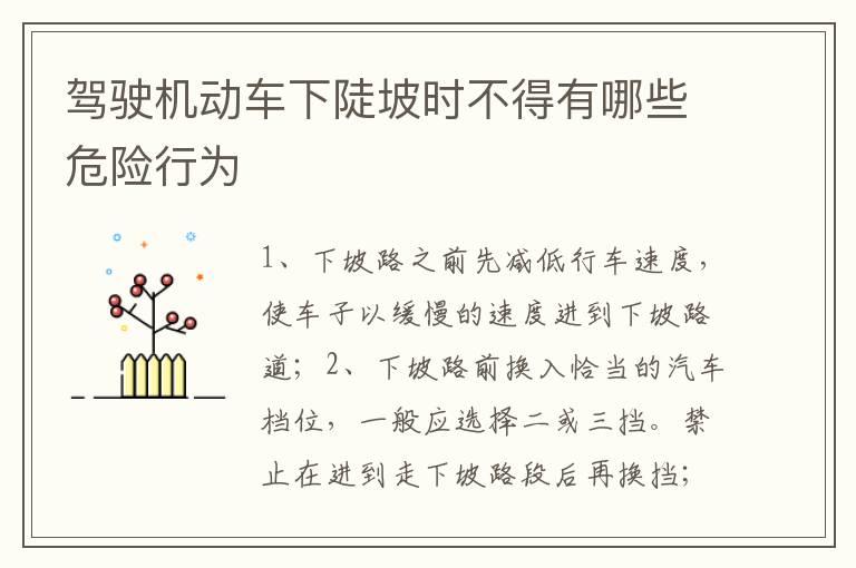 驾驶机动车下陡坡时不得有哪些危险行为