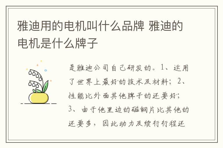 雅迪用的电机叫什么品牌 雅迪的电机是什么牌子