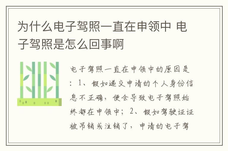 为什么电子驾照一直在申领中 电子驾照是怎么回事啊