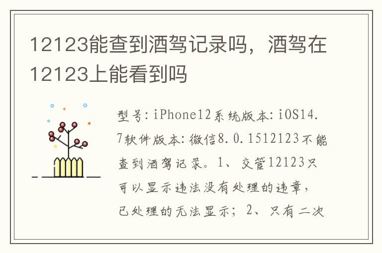 12123能查到酒驾记录吗，酒驾在12123上能看到吗