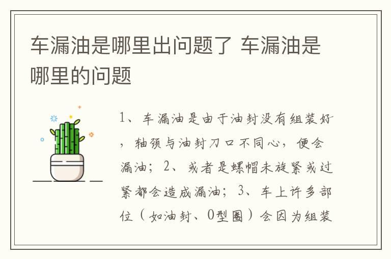 车漏油是哪里出问题了 车漏油是哪里的问题