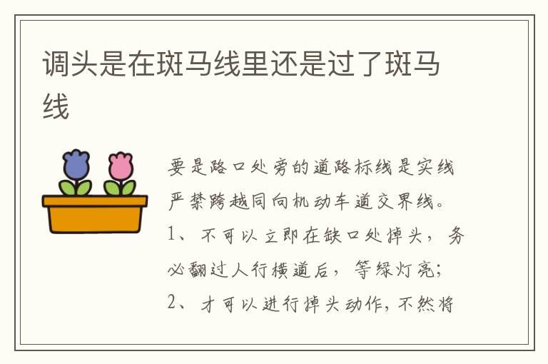 调头是在斑马线里还是过了斑马线